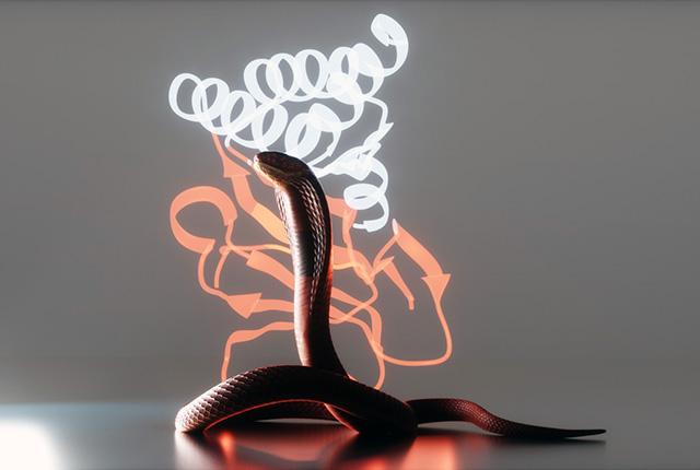 Deep learning designs proteins against deadly snake venom - UW